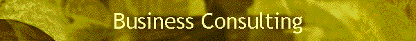 Business Consulting